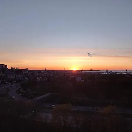 Korter Under Your Eyes