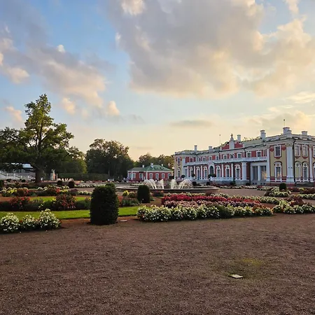 Korter Under Your Eyes