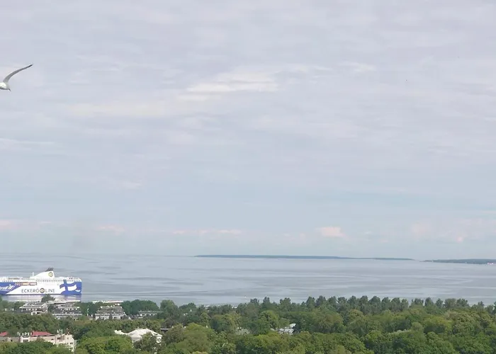 Under Your Eyes * 탈린